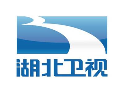 湖北卫视伴音