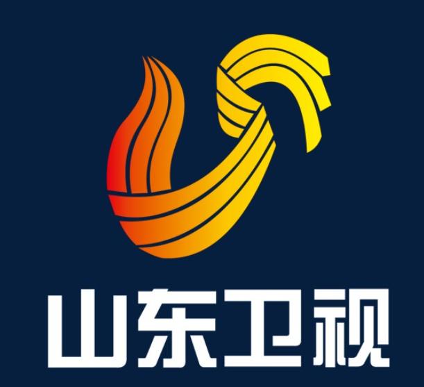 山东卫视伴音